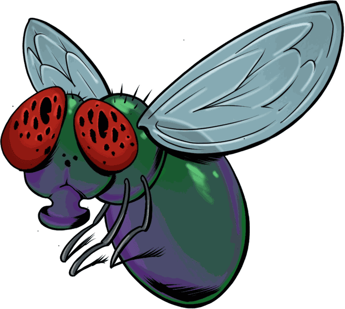 Illustrazione di una mosca