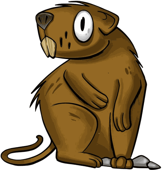 Illustrazione di una nutria