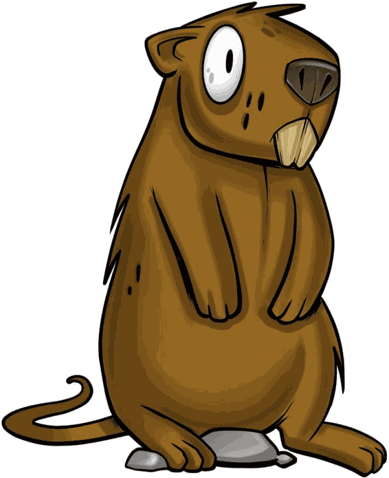 Illustrazione di una nutria