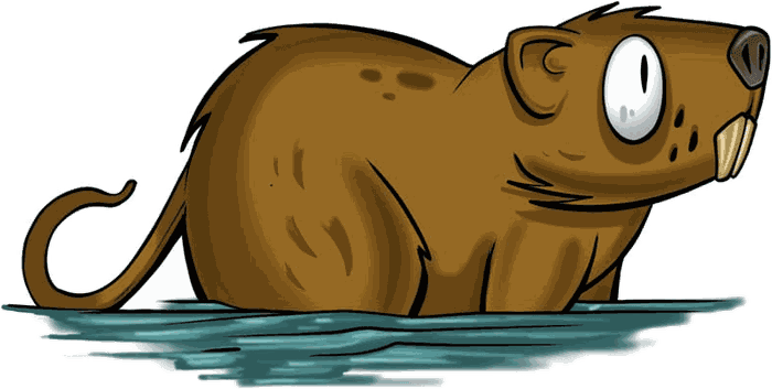 Illustrazione di una nutria in acqua