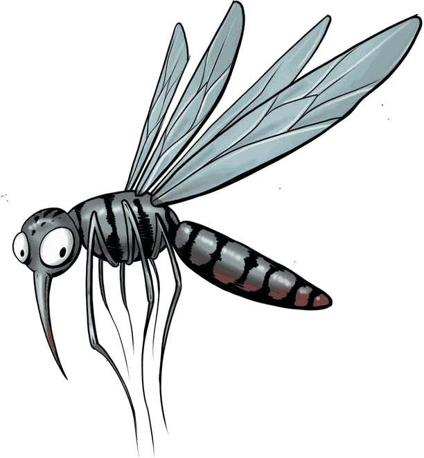 Illustrazione di una zanzara