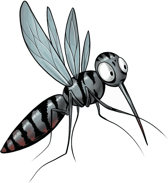 Illustrazione di una zanzara